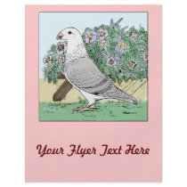 Show Racer and Flowers Color Flyers