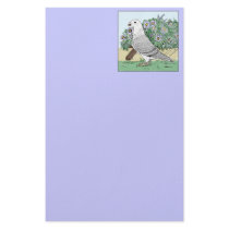 Show Racer and Flowers Color Custom Stationery