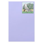 Show Racer and Flowers Color Custom Stationery