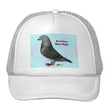 Show Racer ASR Mesh Hats