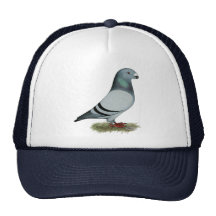 Show Racer Concept Mesh Hats