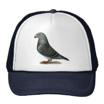 Show Racer Dark Check Mesh Hats