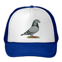 Show Racer Mismark Mesh Hats