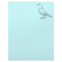 Show Racer Outline letterhead
