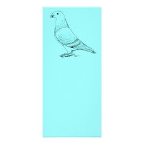 Show Racer Outline Rack Cards