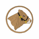 Show Steer Embroidered Hooded Sweatshirt