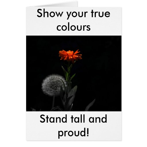 Show Your True Colours Stand Tall And Proud Card Zazzle 6112