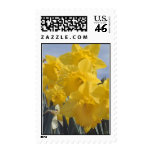 Shower Buddies postage