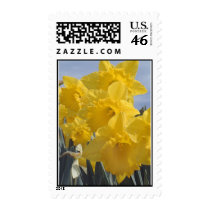 Shower Buddies postage