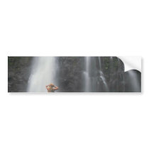 Showers On The Mountain Bumper Sticker