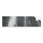Showers On The Mountain Bumper Sticker