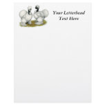 Showgirl Bantams Letterhead Design