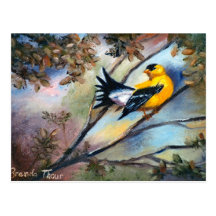 Showing Off Bird Postcard