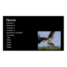 Showing Off Business Card Template