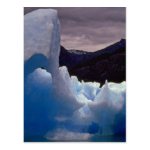 Showpieces In Nature Post Cards