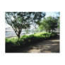 Shreveport Riverfront Postcards