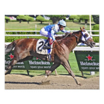 Shrewd One by Smarty Jones Art Photo
