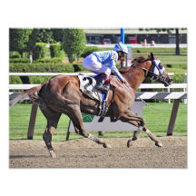Shrewd One by Smarty Jones Photo Art