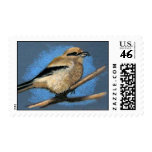 SHRIKE BIRD STAMP