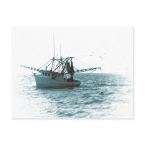 Shrimp Boat postcards