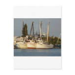 Shrimp Boats x three Post Card
