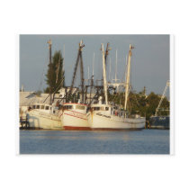 Shrimp Boats x three postcards by Debrene Shrimp Boats x three postcards