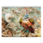 Shrimp Calendar