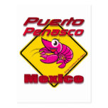 Shrimp Crossing Puerto Penasco Mexico Postcards