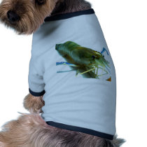shrimp pet clothing by naturelife shrimp pet clothing