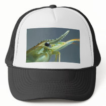 shrimp hats by naturelife shrimp hats