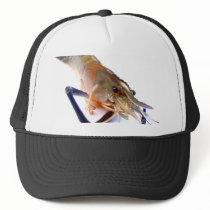 shrimp hats by naturelife shrimp hats