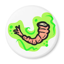 Shrimp Refrigerator Magnet