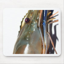 shrimp mouse pads