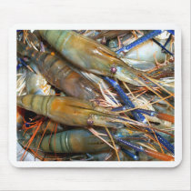 shrimp mouse mats
