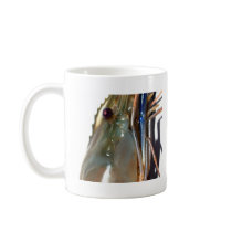 shrimp mug