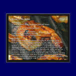 Shrimp on the Barbie Recipe Card postcards