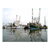 SHRIMPERS Print