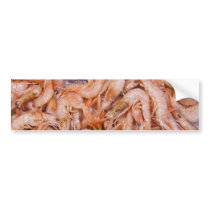 Shrimps Bumper Stickers