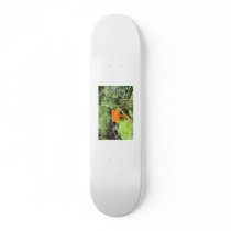 shroom skate decks