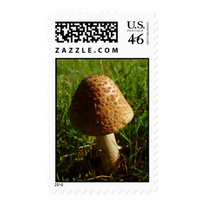 Shroom Stamp by shinaweh