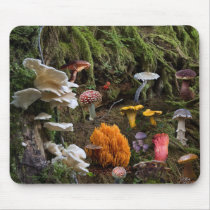 Shroomer's Paradise Mousepad