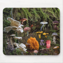 Shroomer's Paradise Mousepad