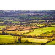 Shropshire View