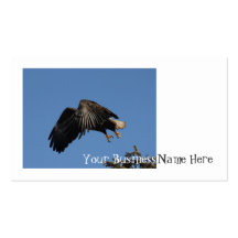 Shrouded by Wings; Promotional Business Card Template