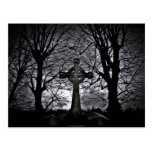 shrouded in darkness postcard