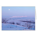 Shrub Thickets in Snow Along the Noatak River   cards