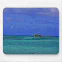 Shrubs on the Florida flats - Mouse pad mousepads