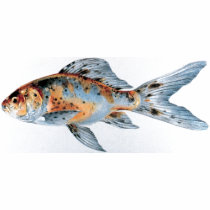 Shubunkin goldfish t-shirts