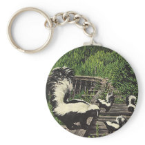 Shunks keychains