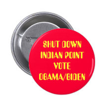 SHUT DOWN INDIAN POINT PINBACK BUTTONS